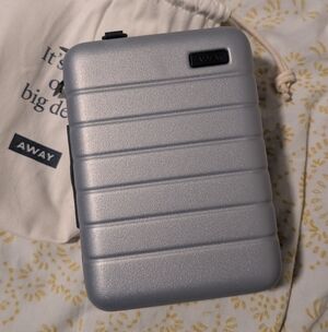 Away Silver Travel Case